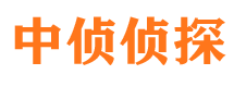 平山市私家调查